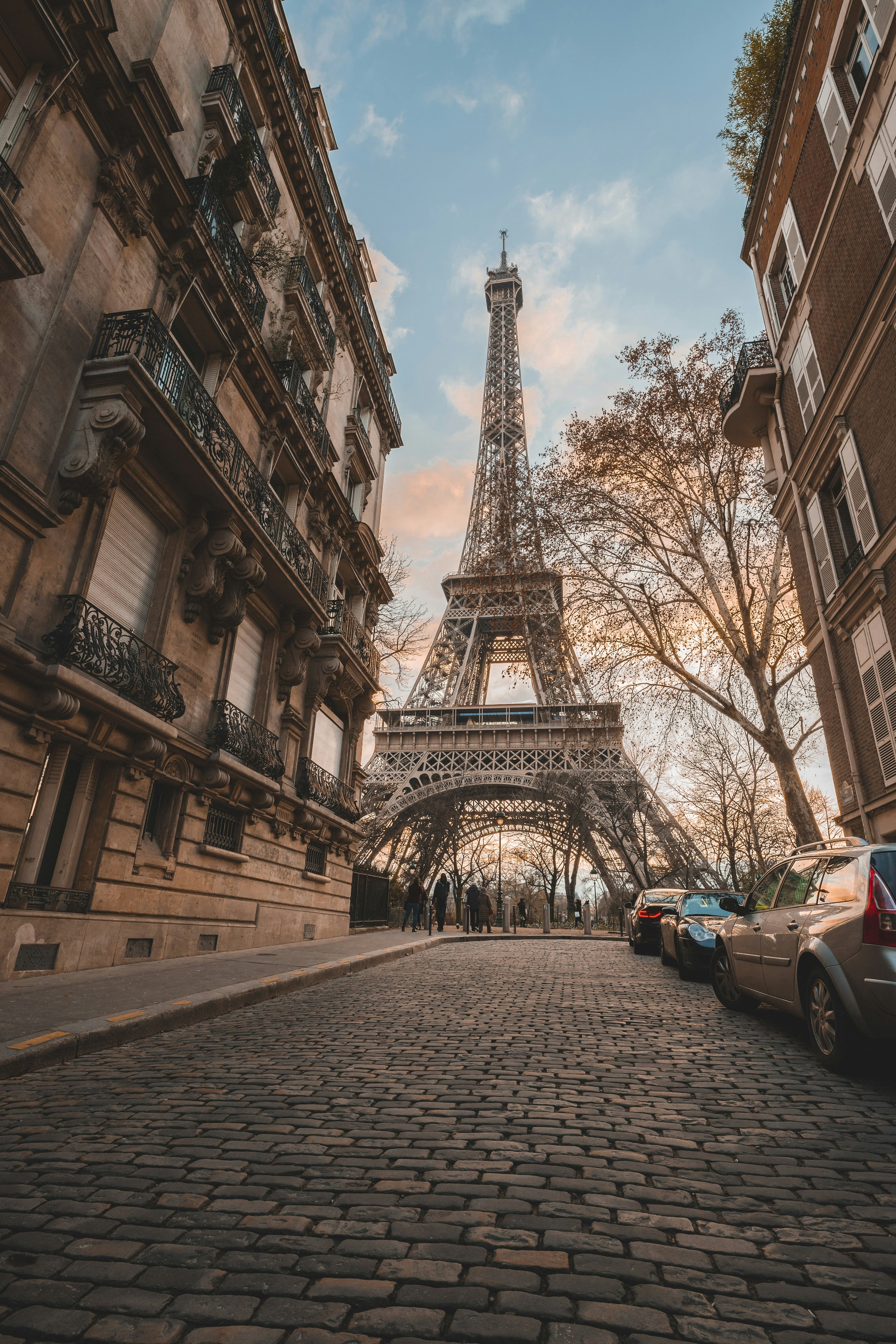 Paris vs. London: Your Guide to Cat Cafe Cultures