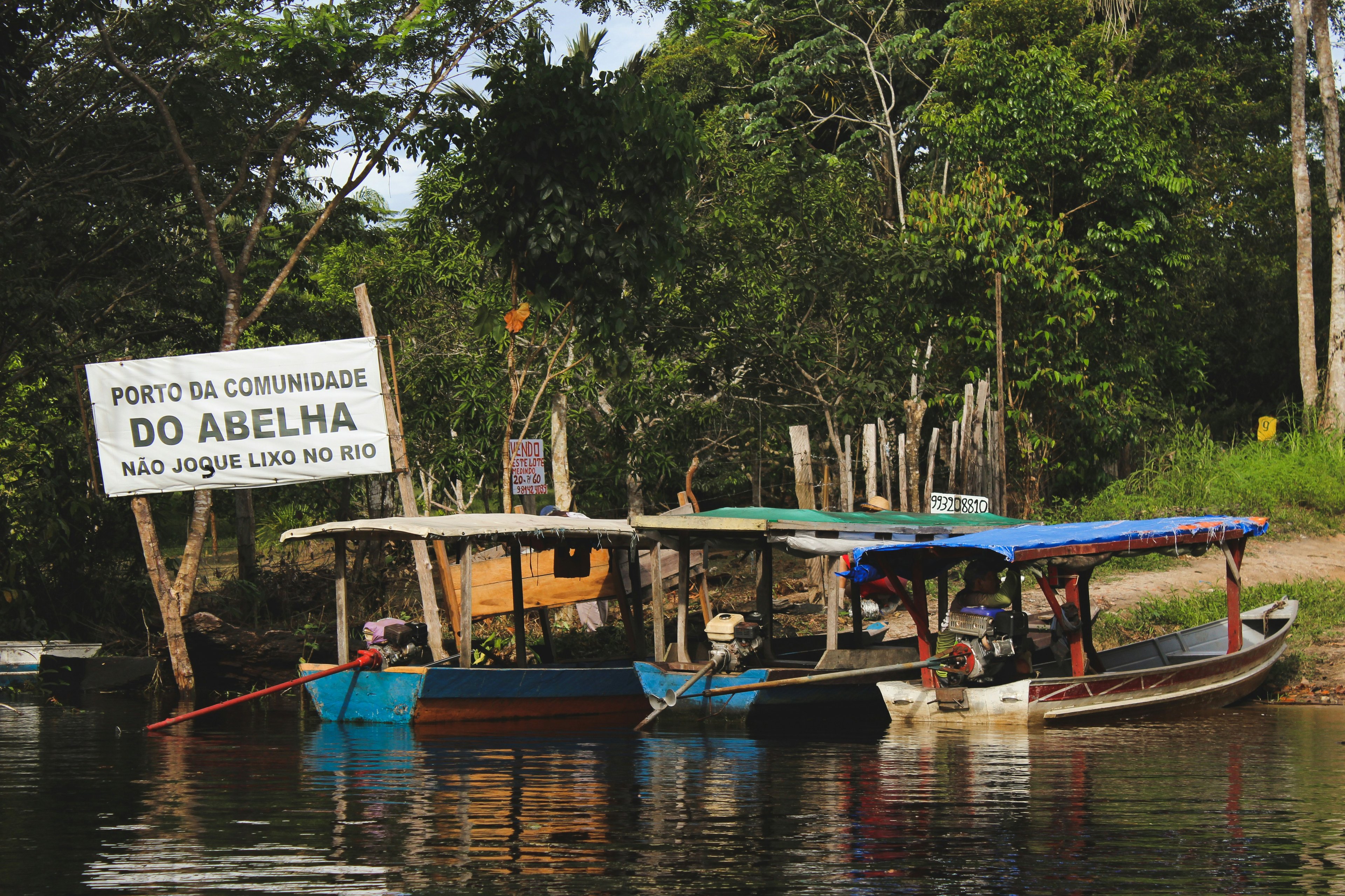 Image of Amazonas, Brazil