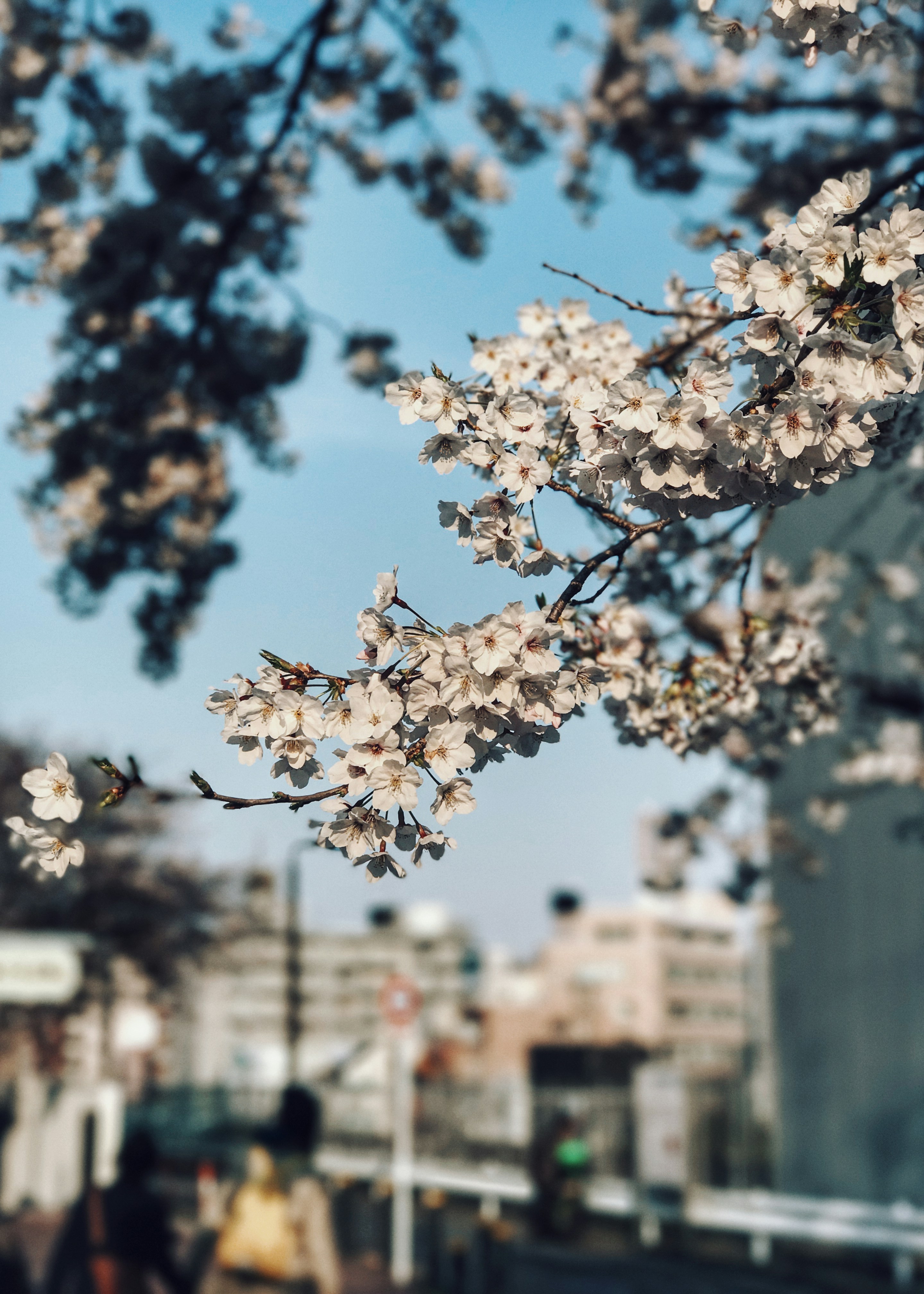 Image of Toshima, Tokyo, Japan