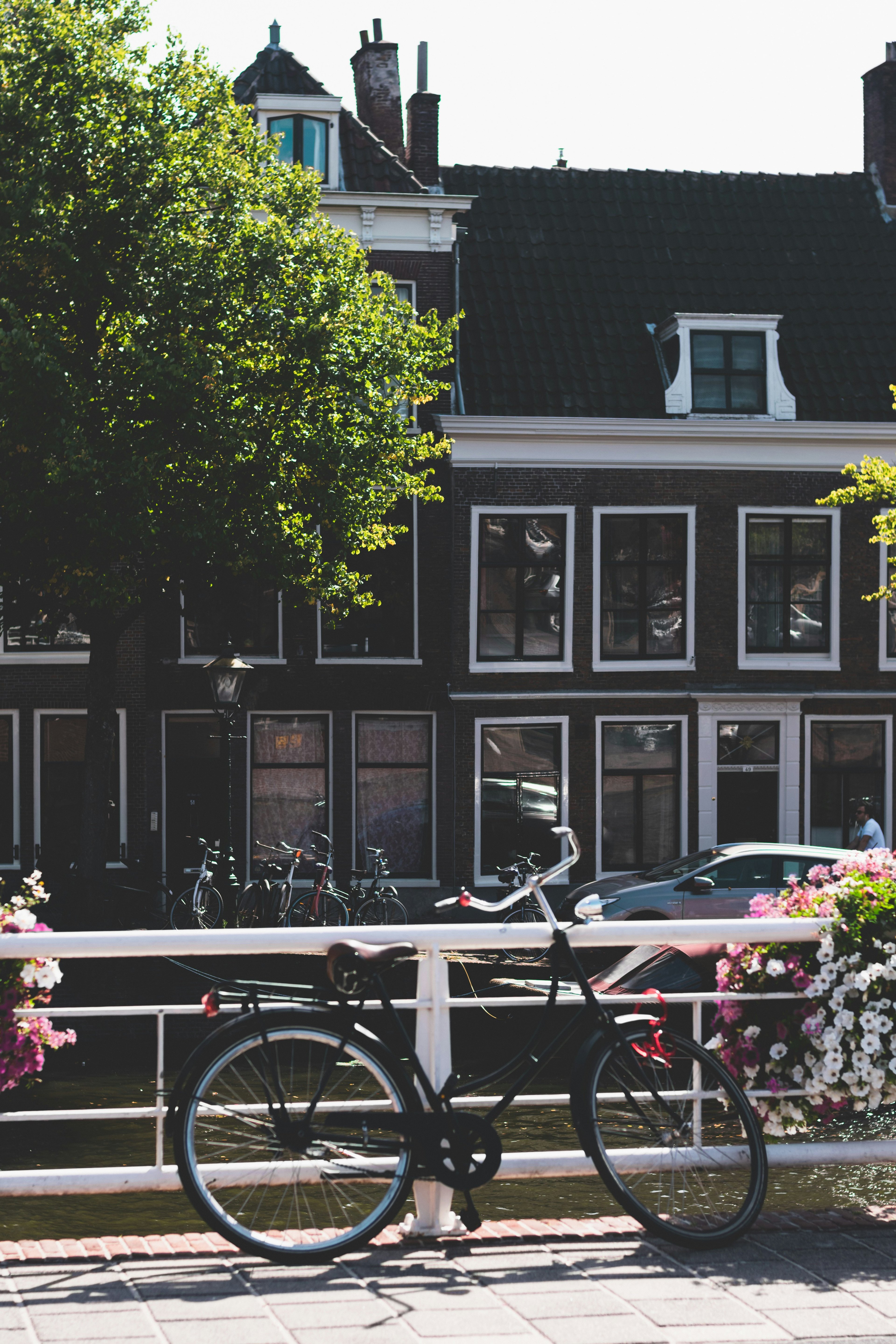 Image of Leiden, Netherlands