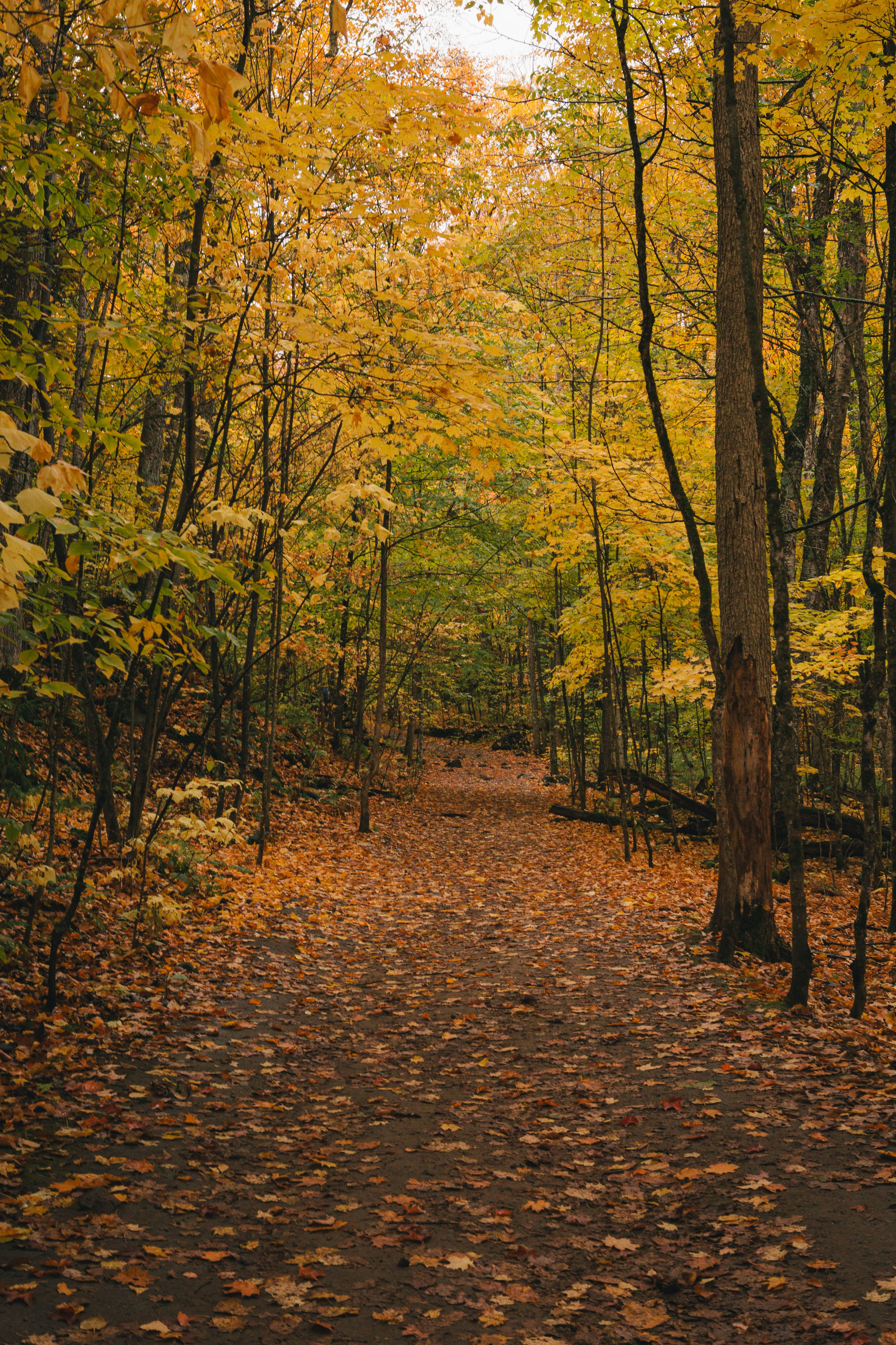 Image of Chelsea, Quebec, Canada