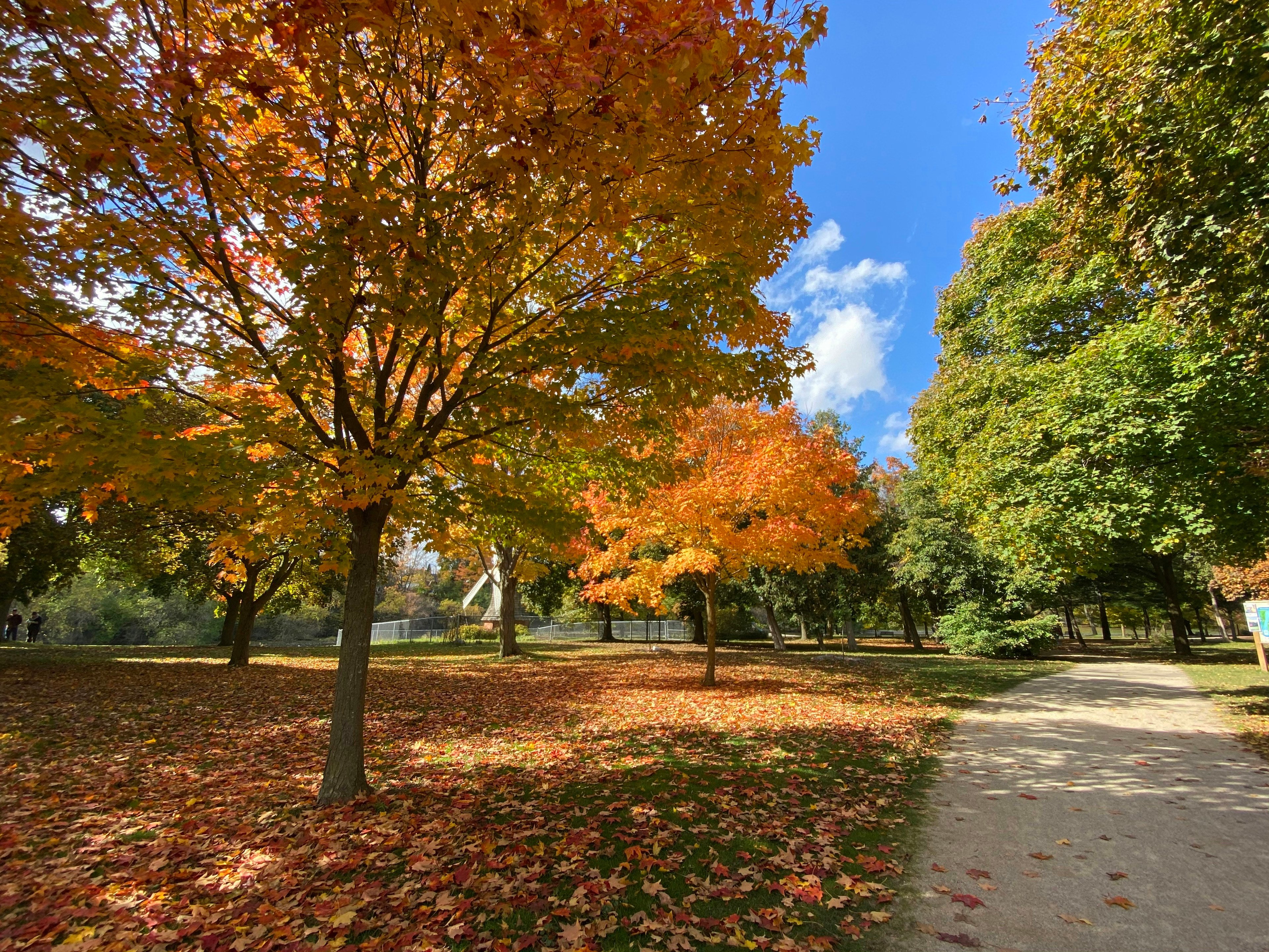 Image of Guelph, Ontario, Canada