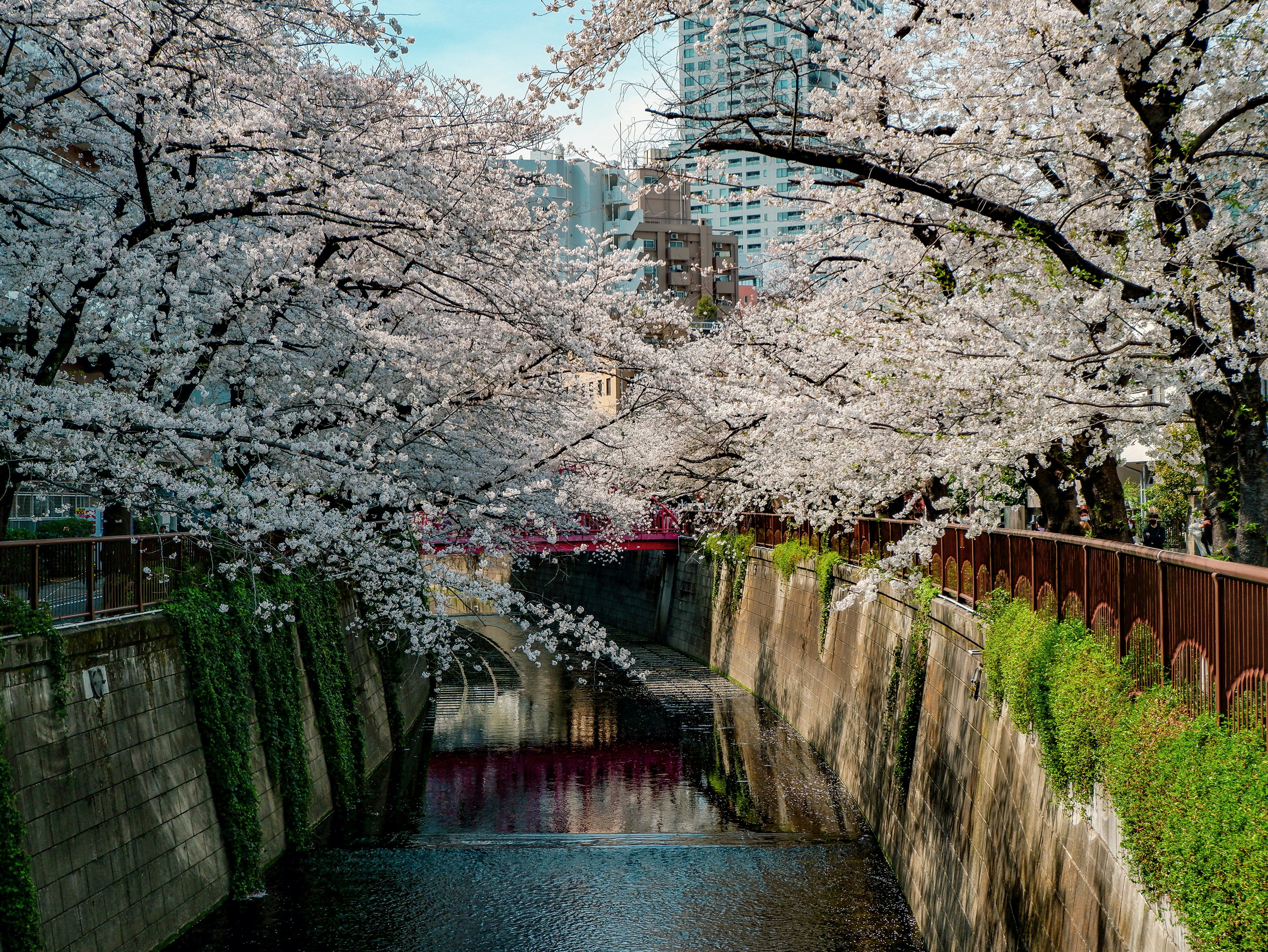 Image of Meguro, Tokyo, Japan