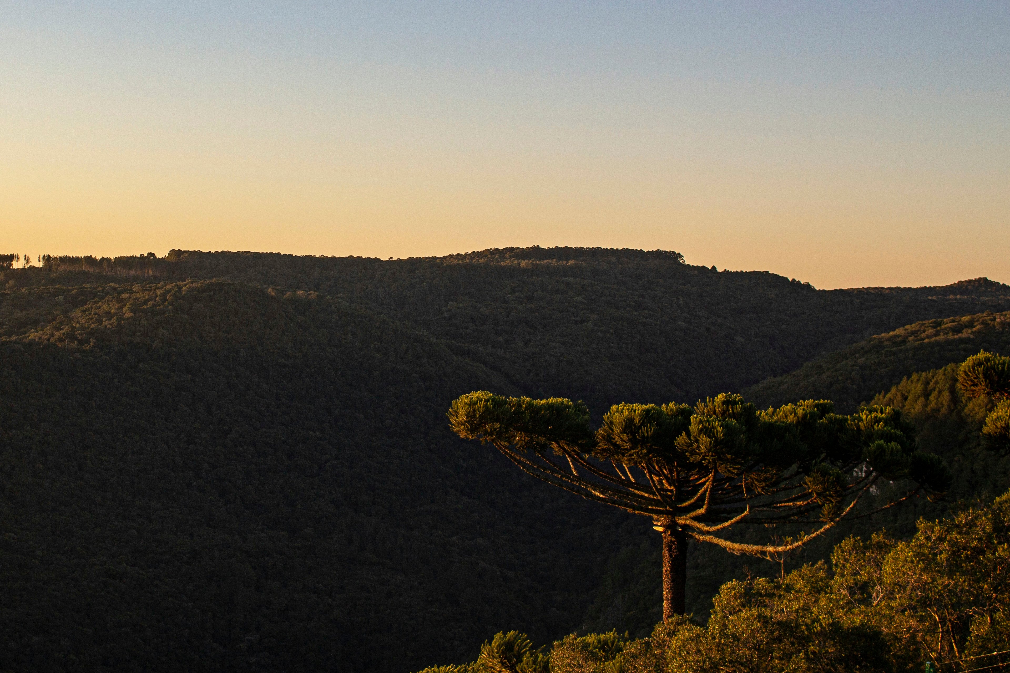 Image of Rio Grande do Sul, Brazil