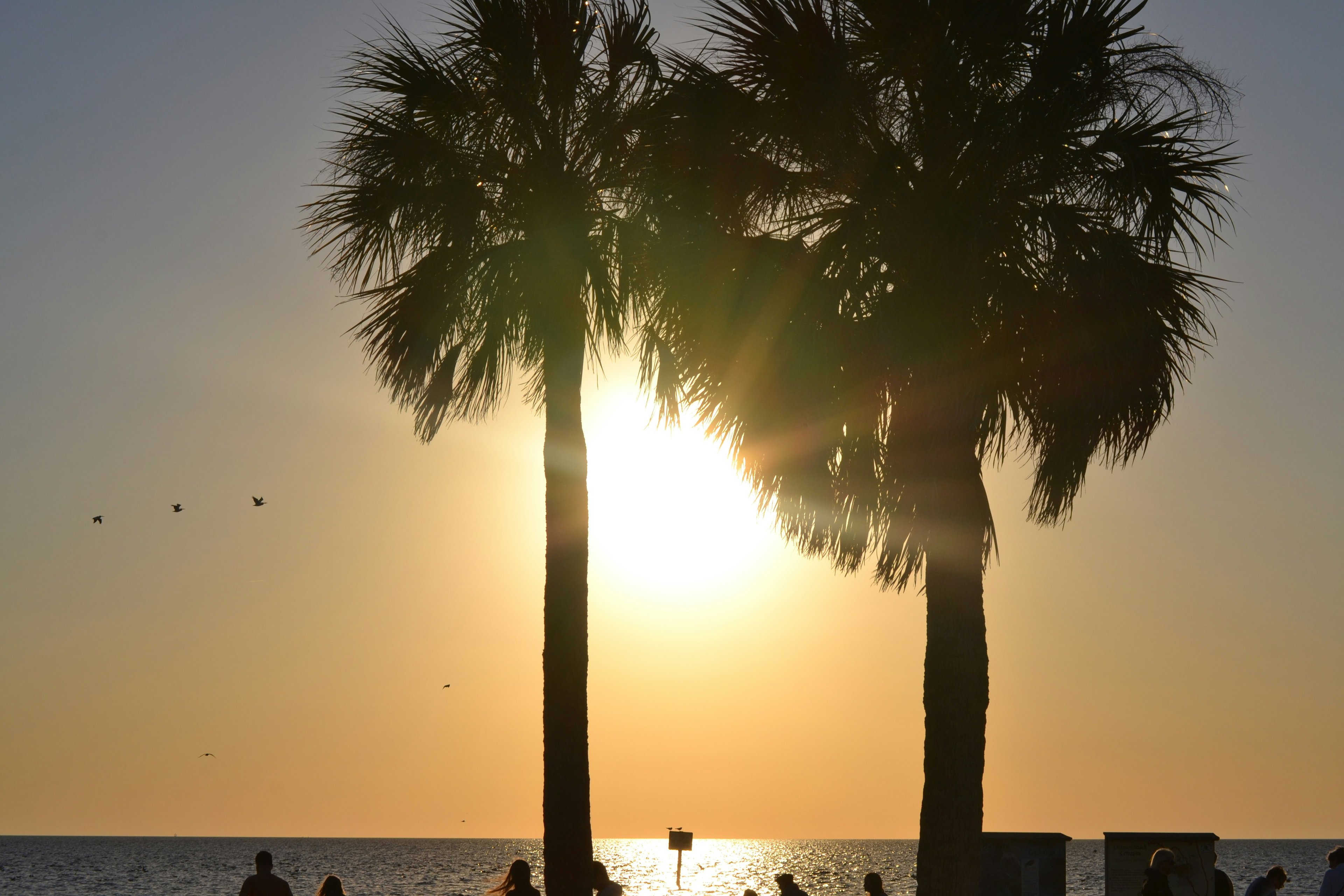 Image of Jacksonville, Florida, United States