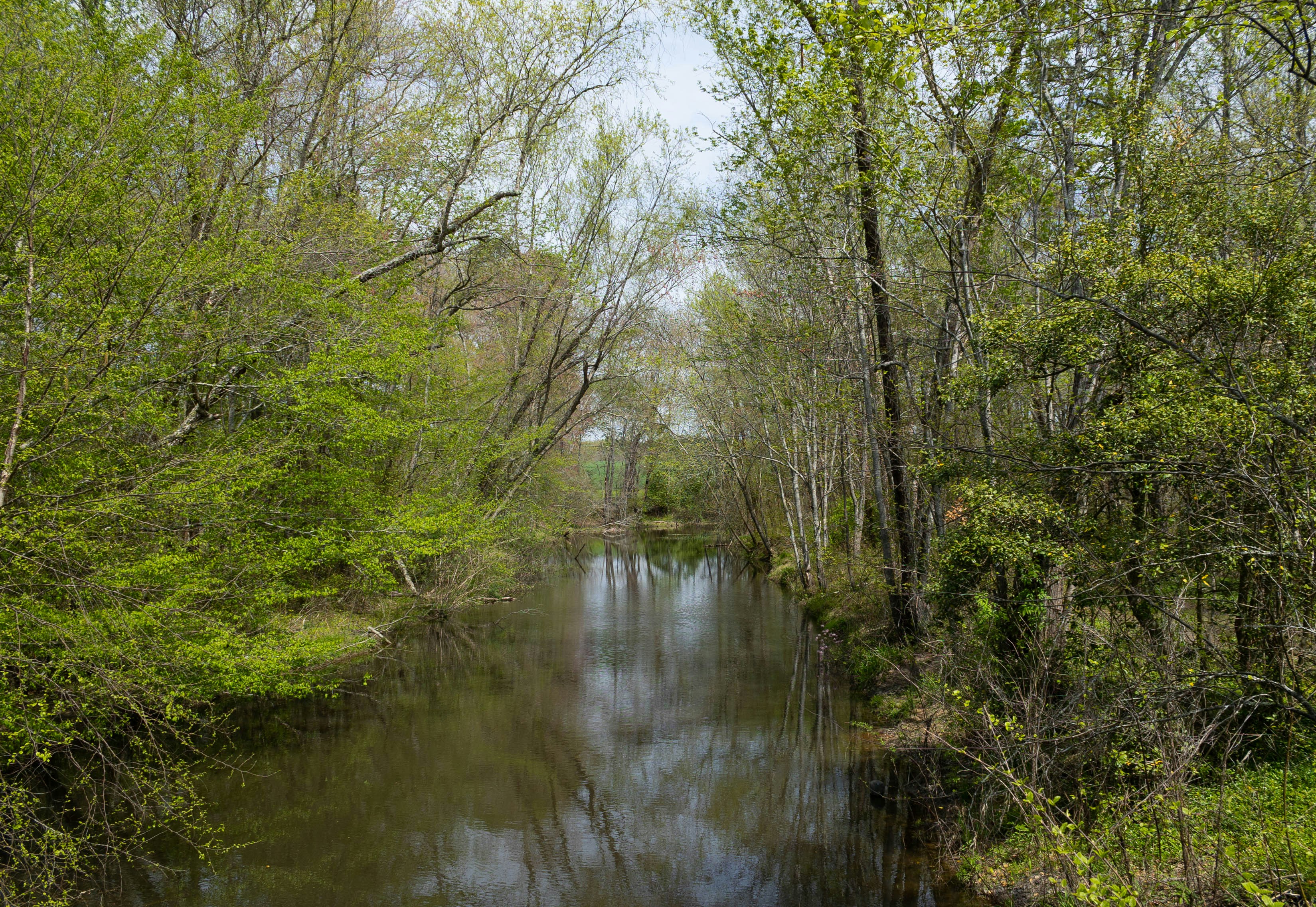 Image of Belmont, North Carolina, United States