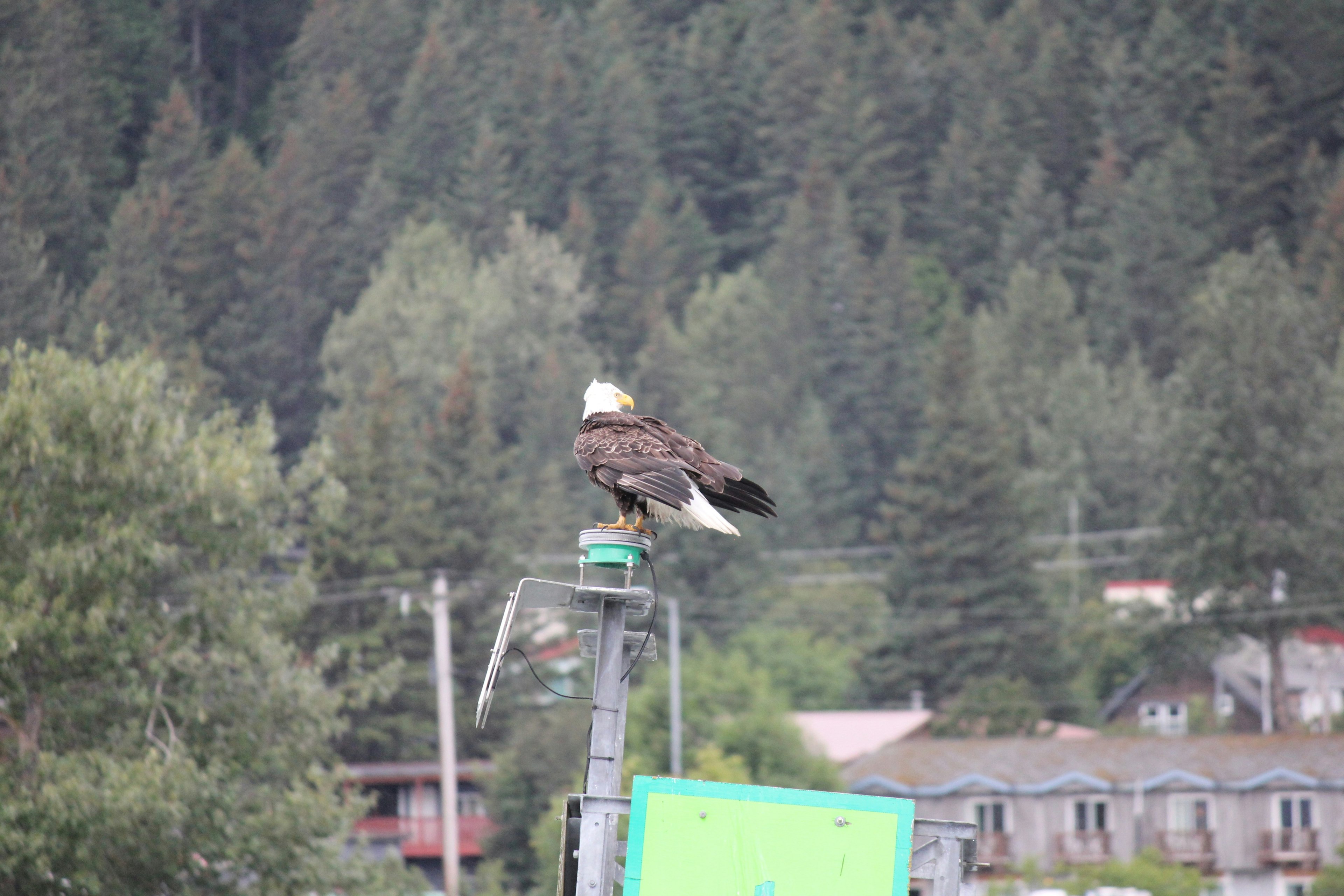 Image of Anchorage, Alaska, United States