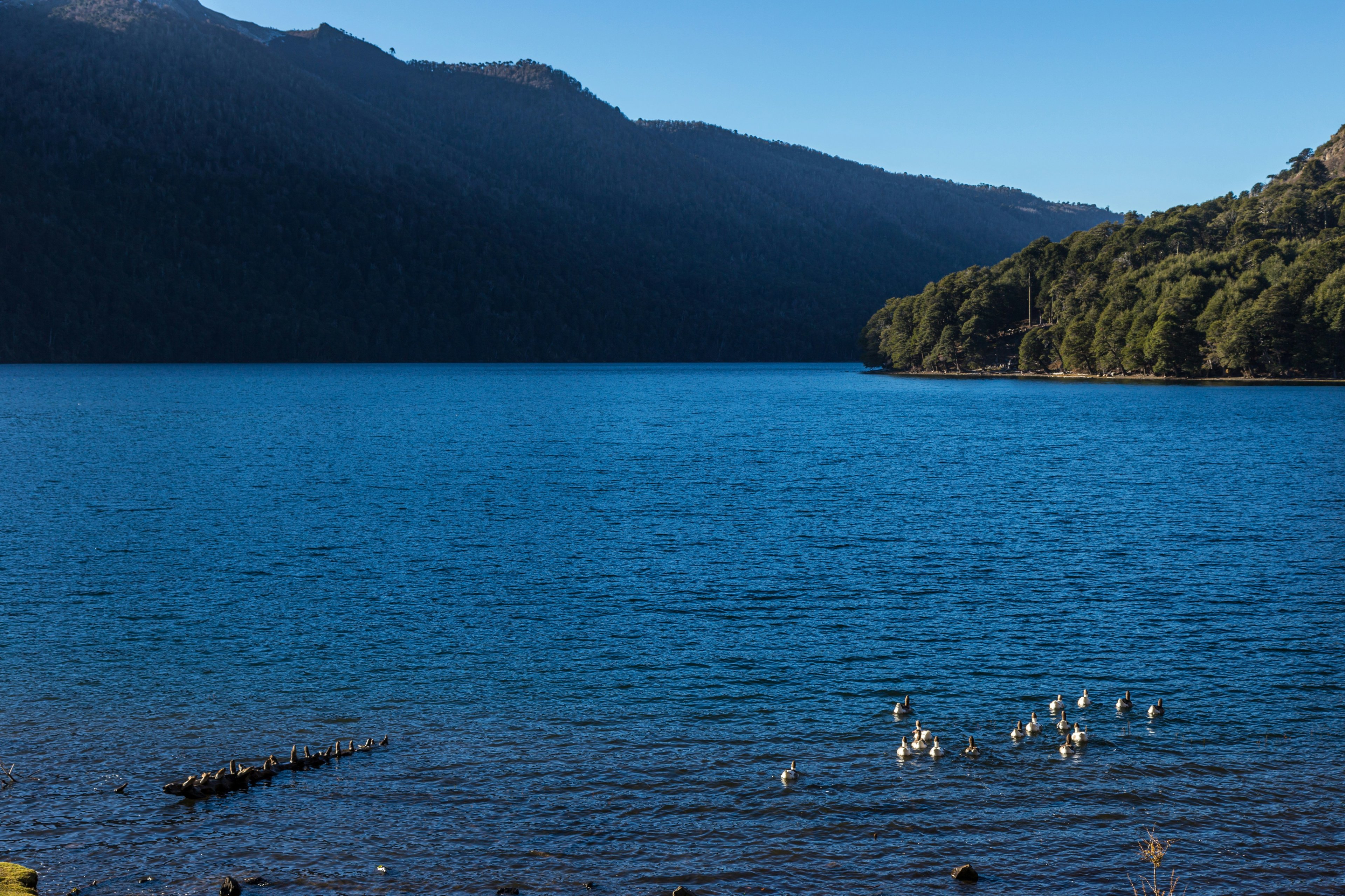 Image of Araucanía, Chile