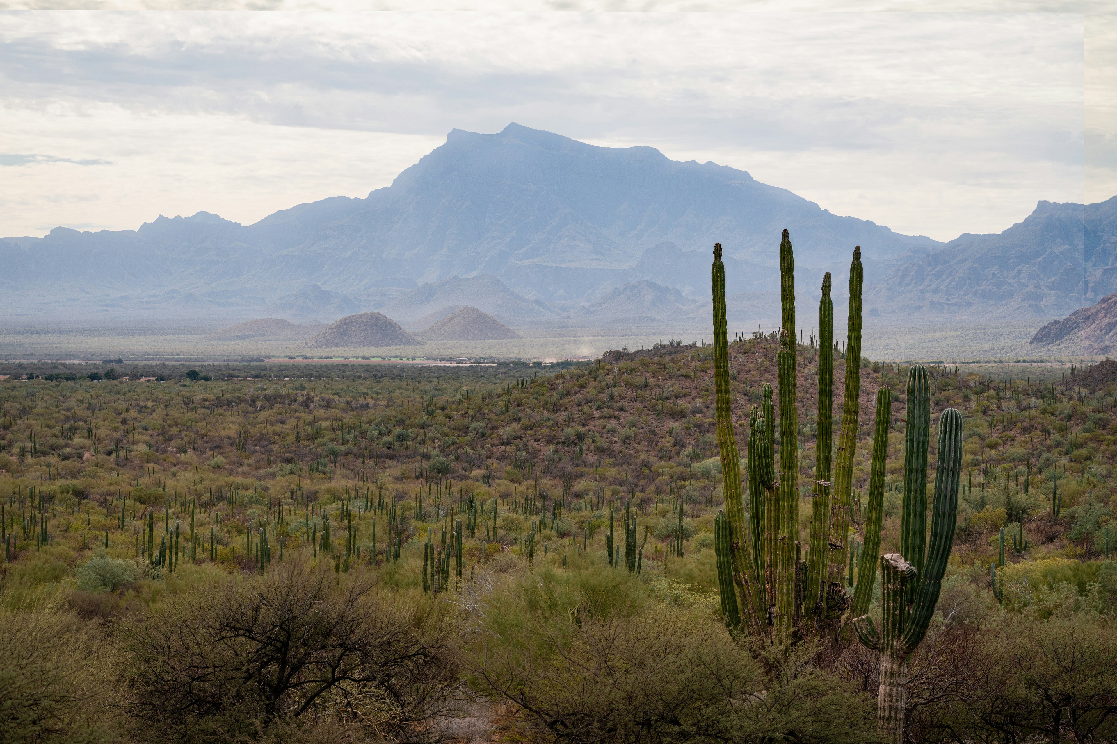 Image of Baja California, Mexico