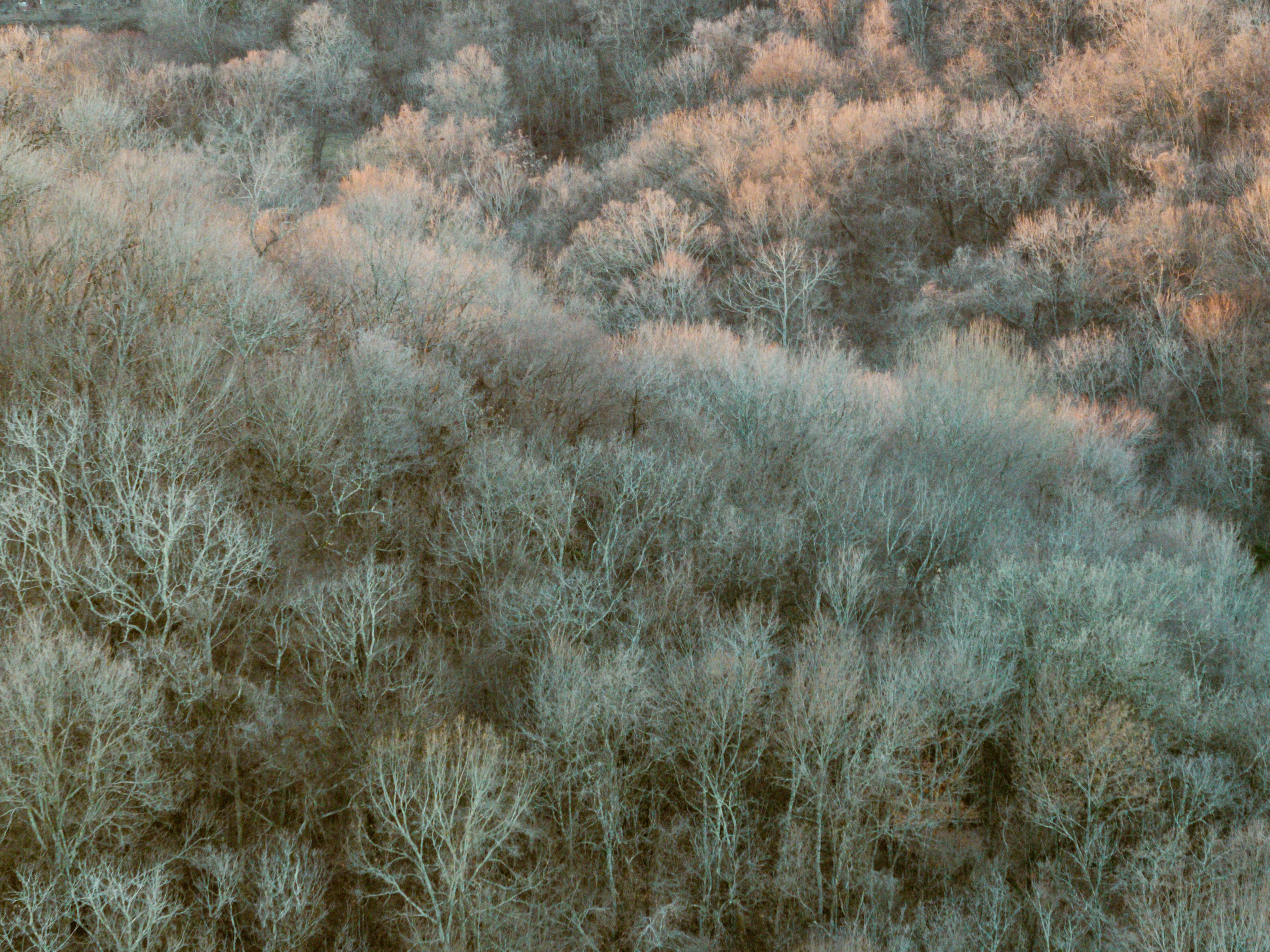 Image of Tennessee, United States