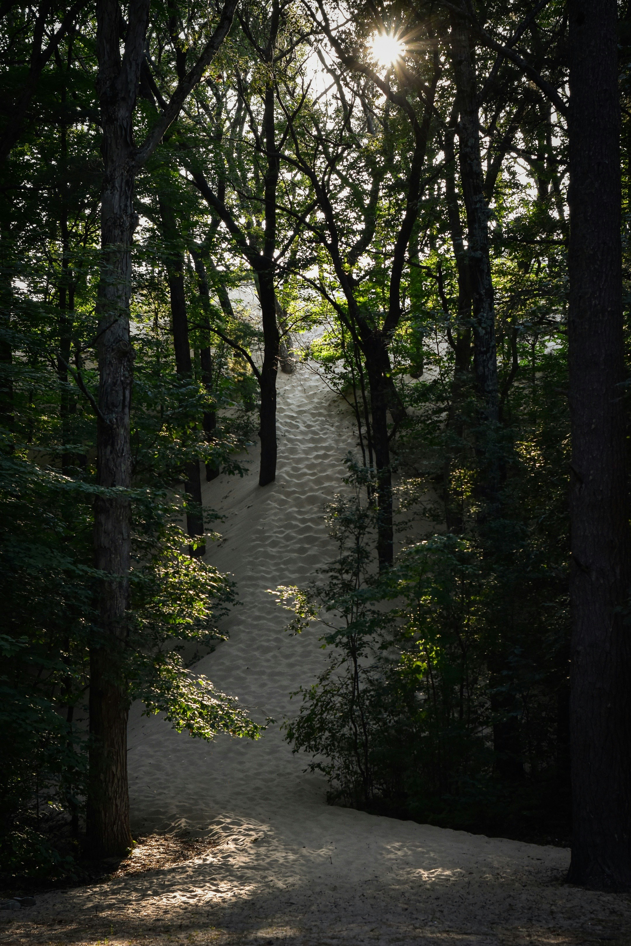 Image of Michigan, United States
