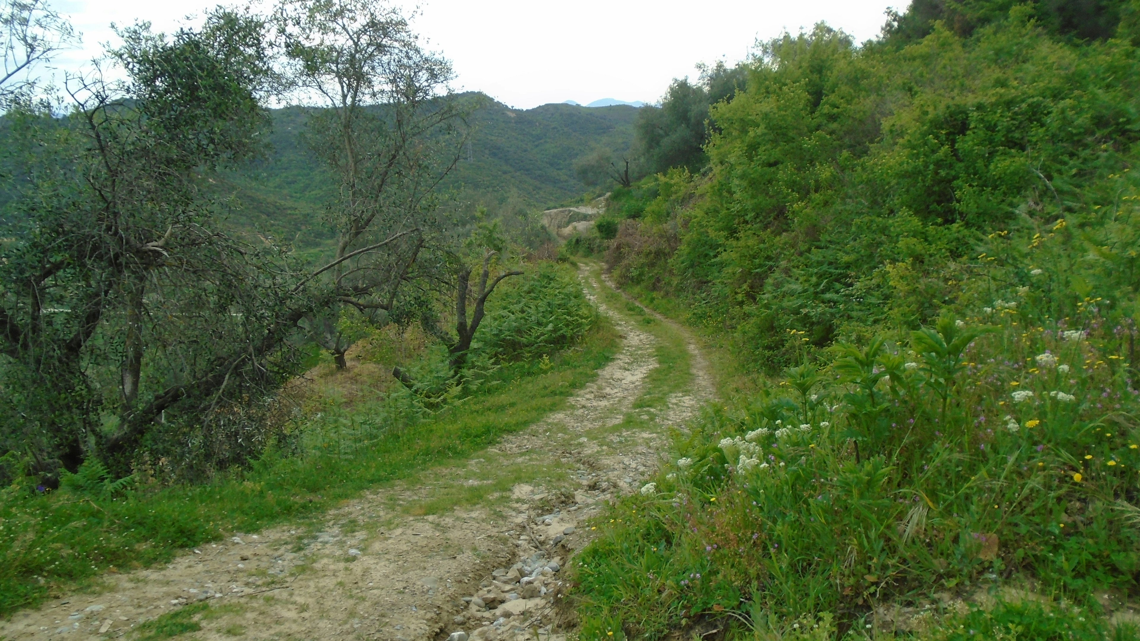 Image of Santa Lucía Del Camino, Oax., Mexico