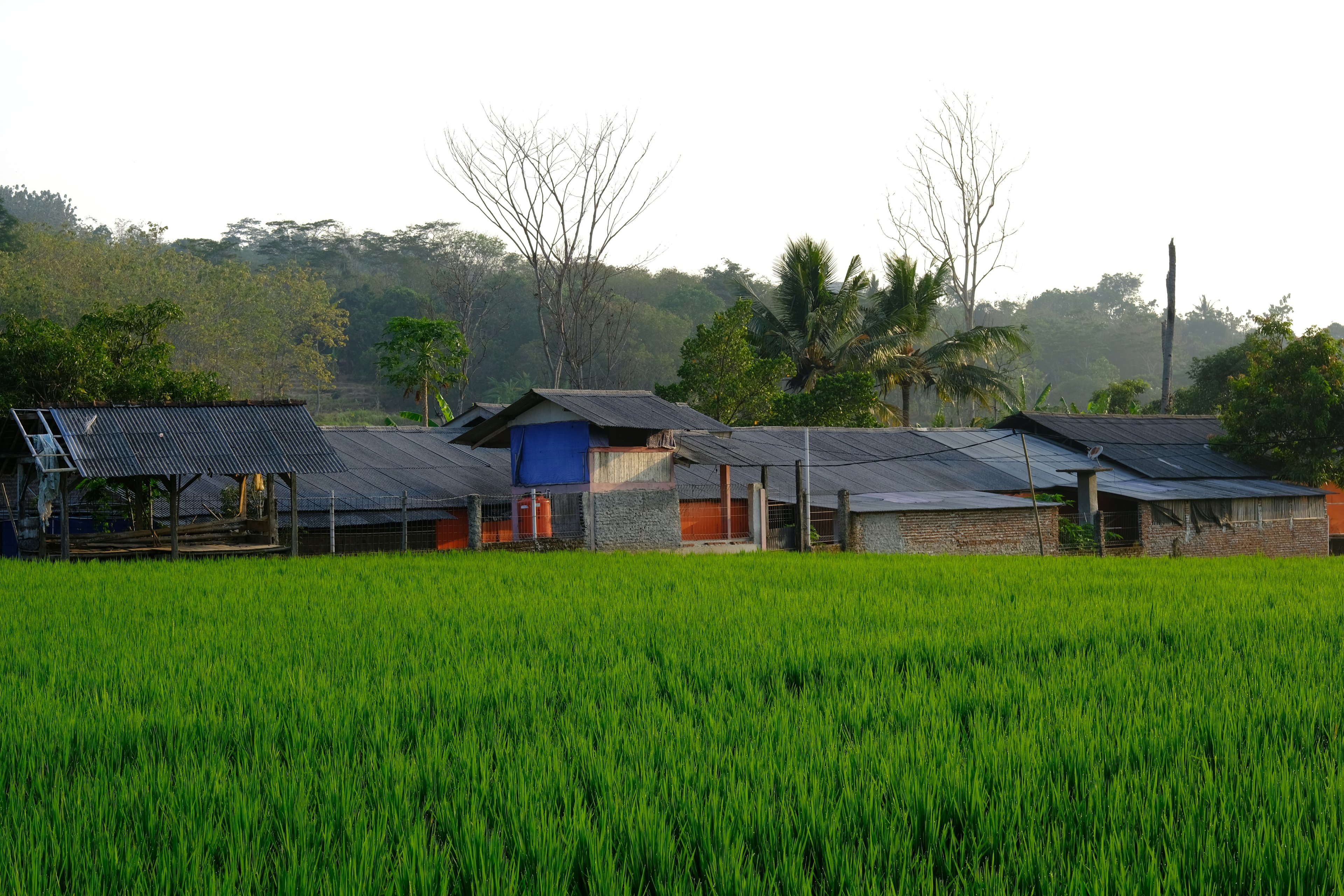 Image of West Java, Indonesia