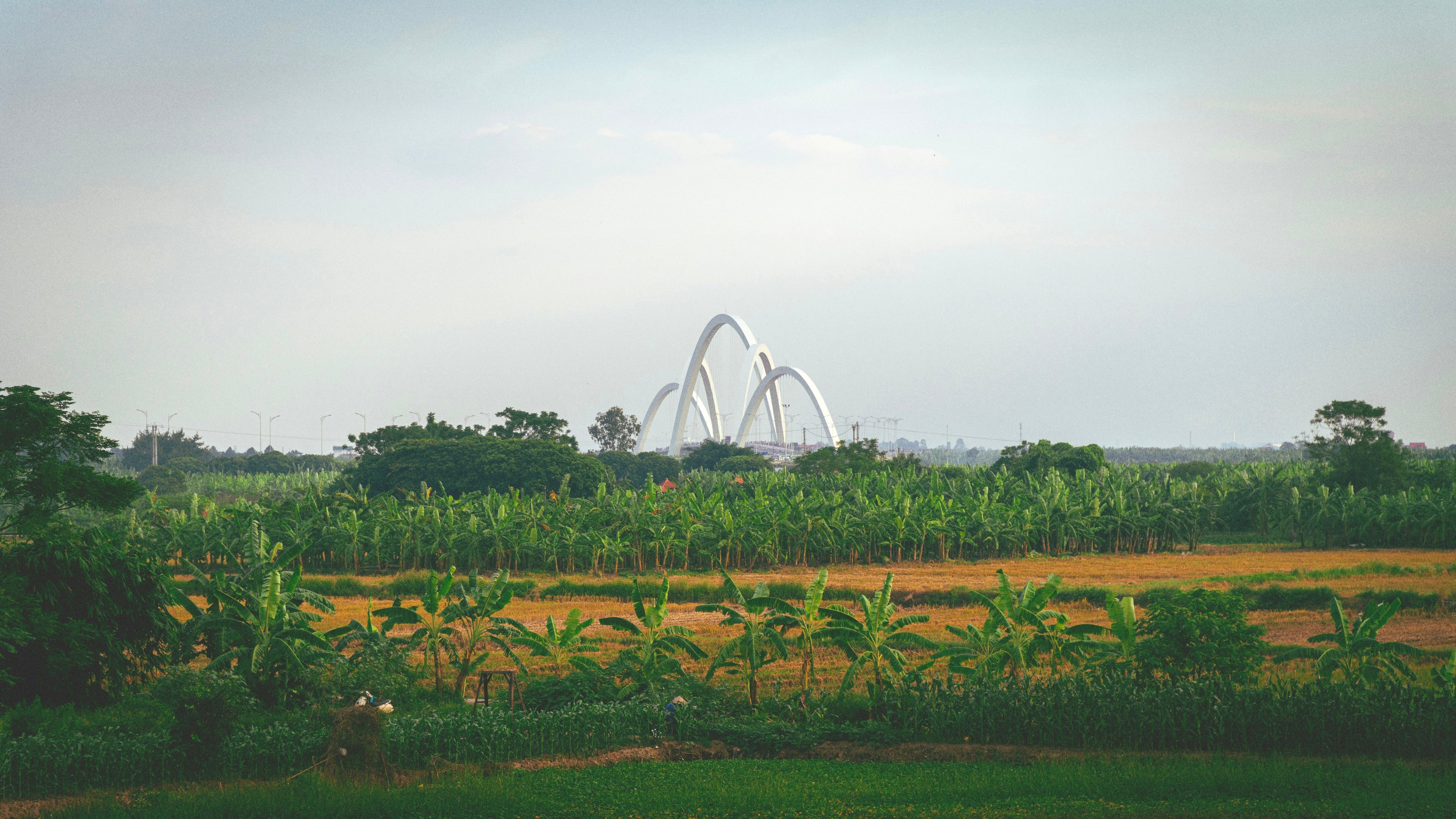 Image of Bắc Ninh, Vietnam