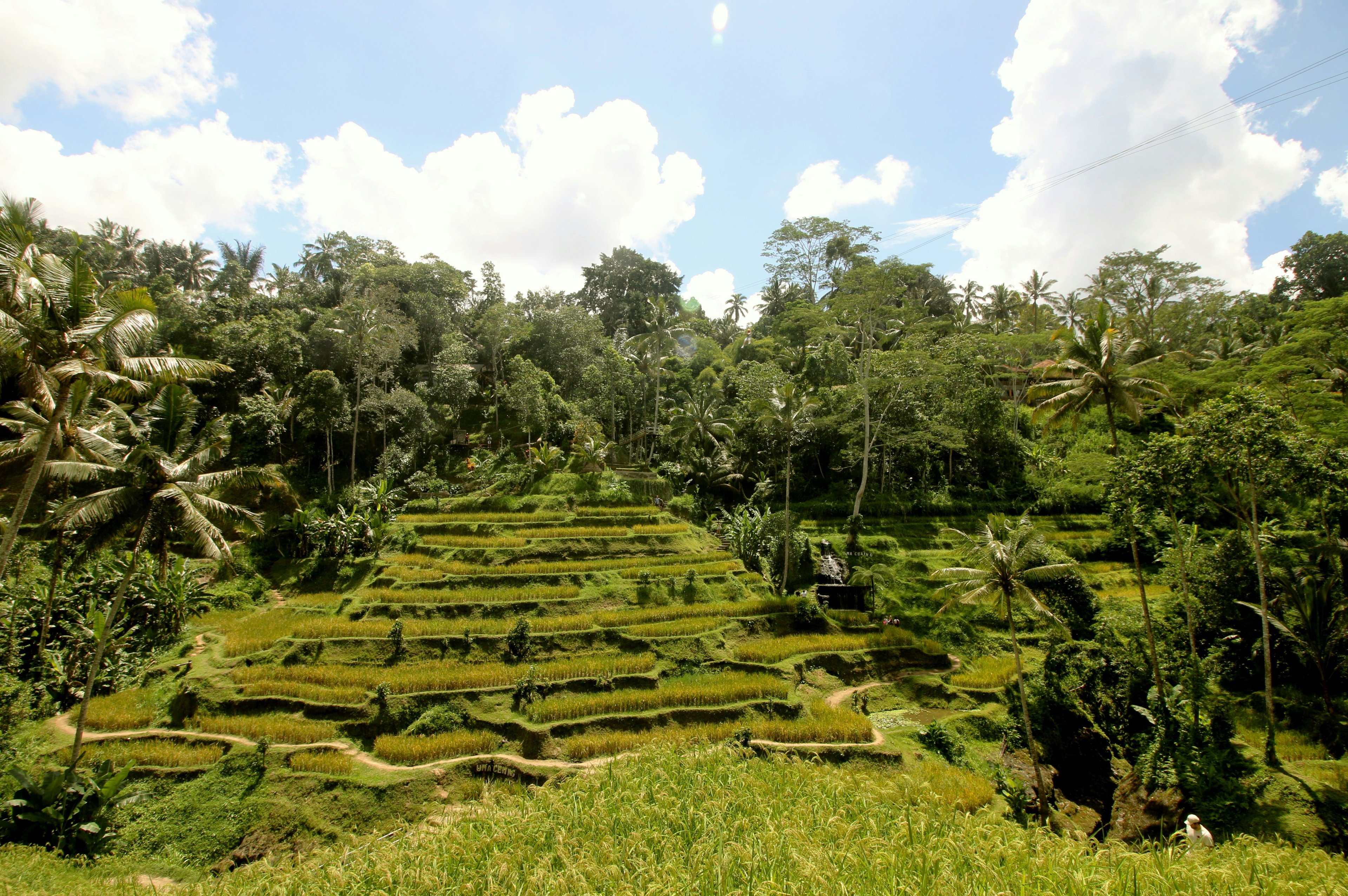 Image of Gianyar Regency, Bali, Indonesia