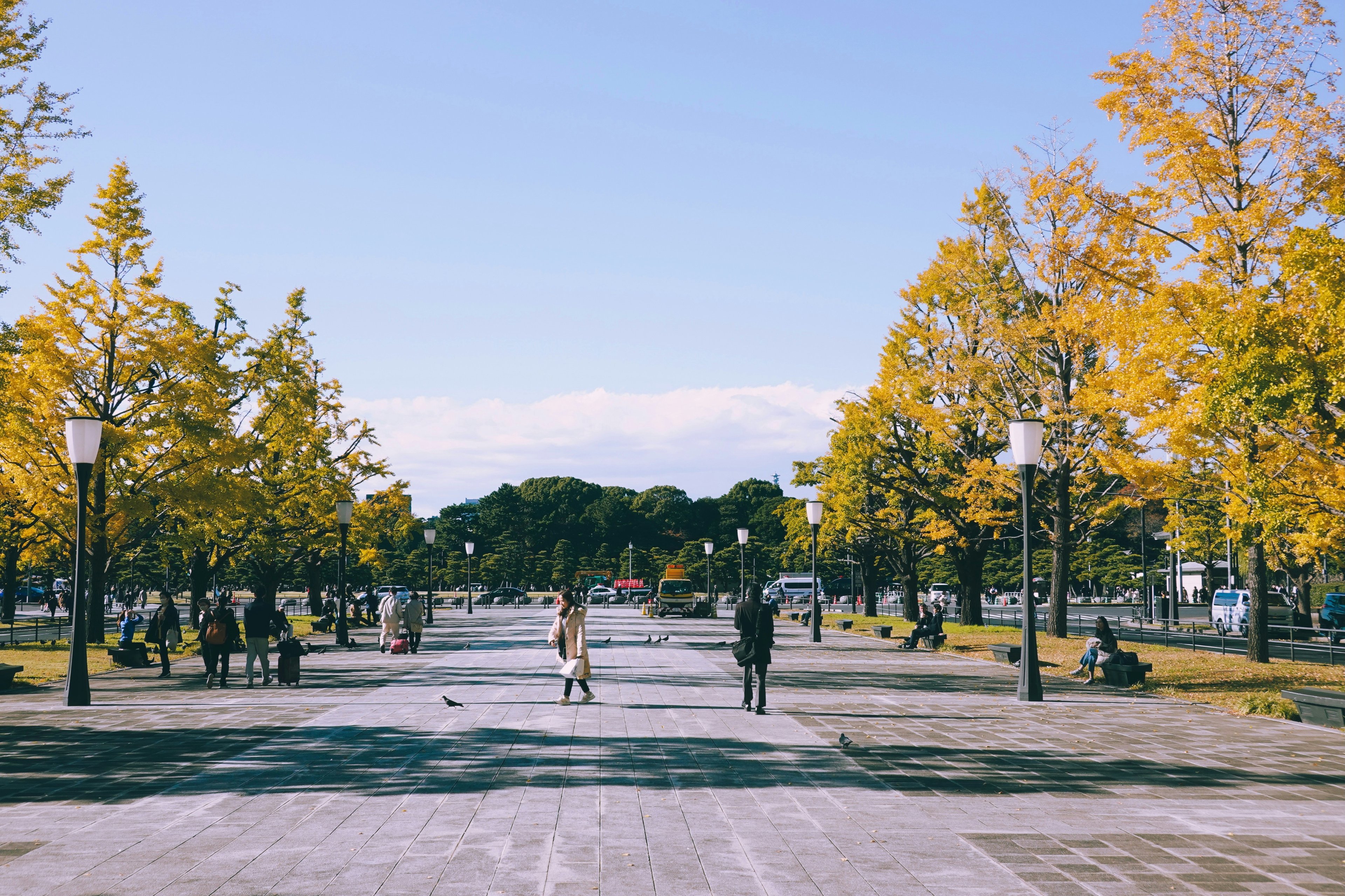 Image of Chiyoda, Tokyo, Japan
