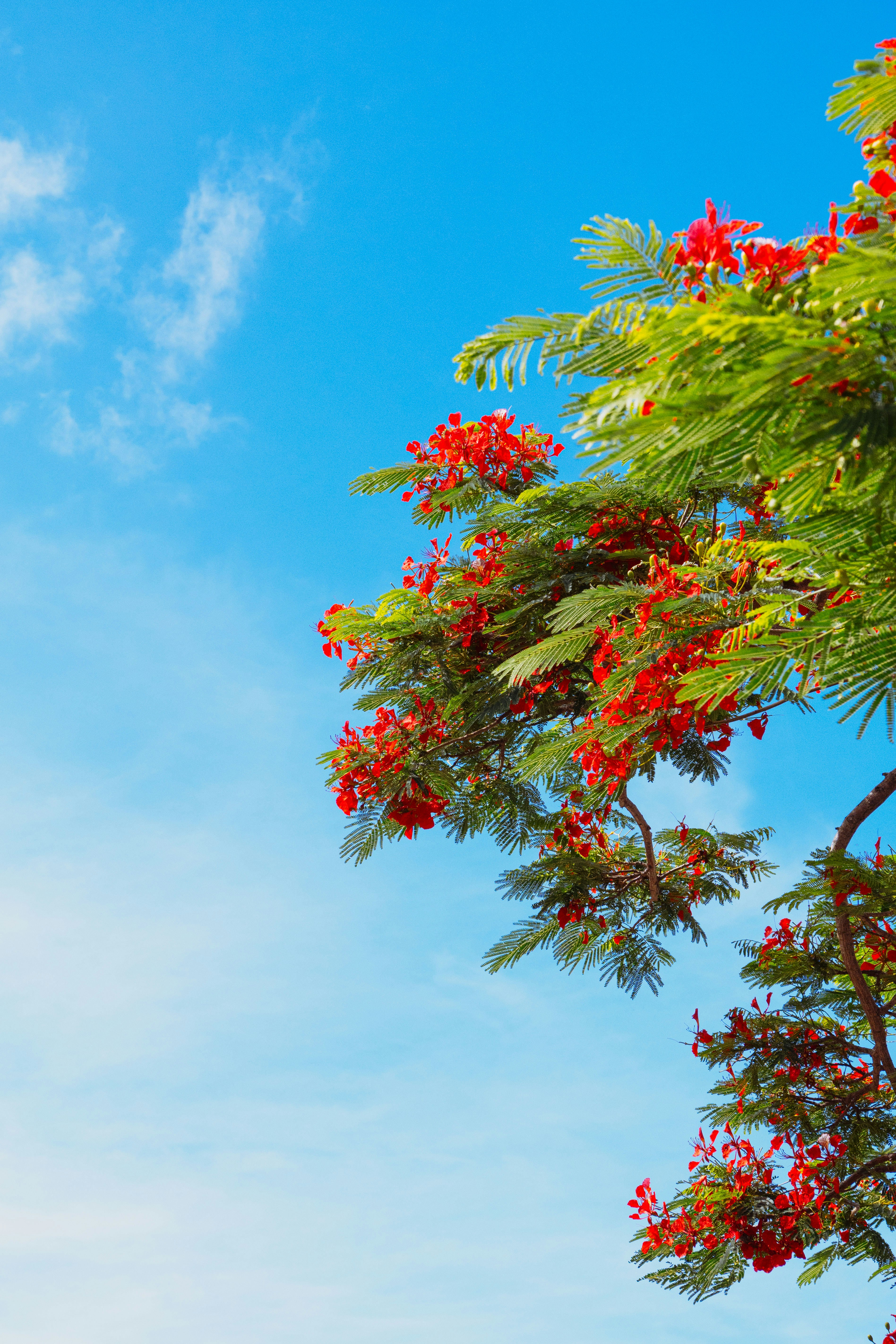Image of Réunion, France