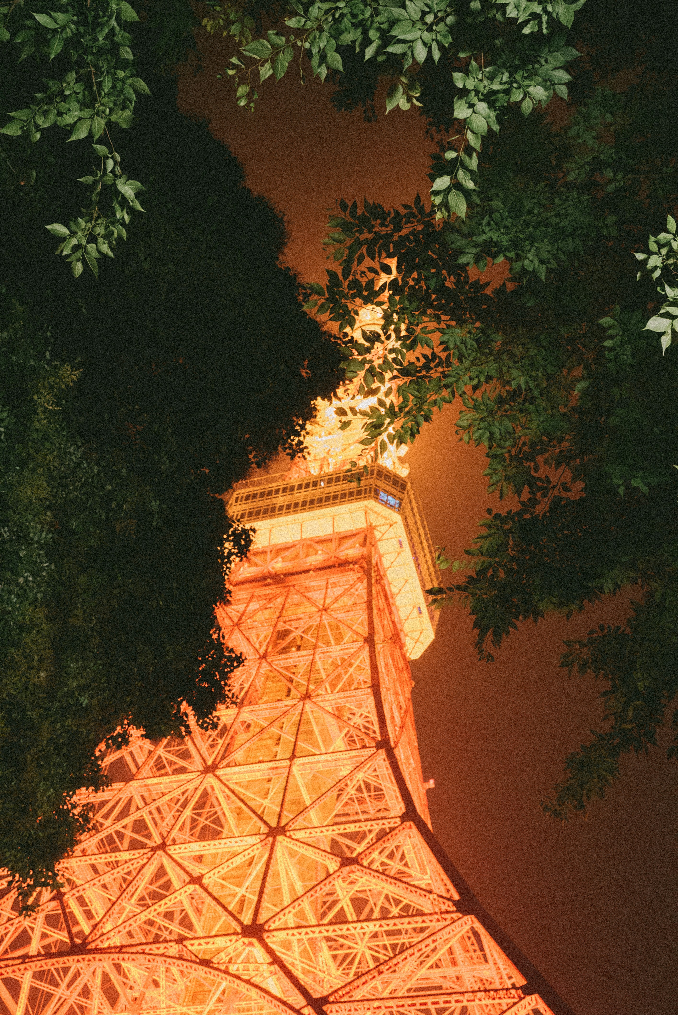 Image of Minato, Tokyo, Japan