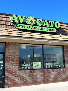 Avocato Catfé and Adoption Center