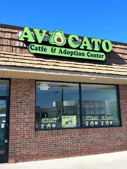 Avocato Catfé and Adoption Center