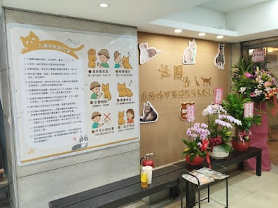咪可思-貓咪療癒互動空間