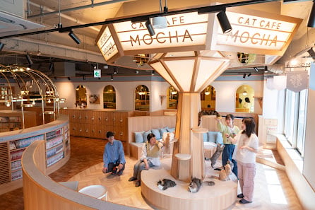 CAT CAFE MOCHA Kichijoji Store