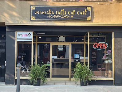Niagara Falls Cat Cafe