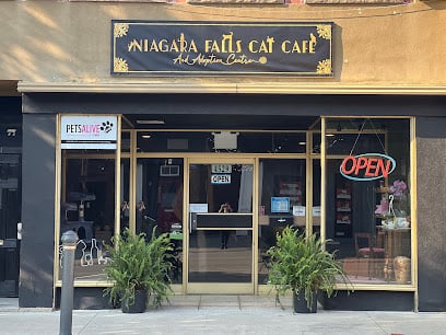 Niagara Falls Cat Cafe
