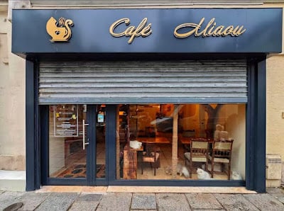 Café Miaou