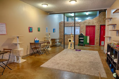 The Cat Cafe