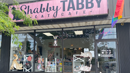 The Shabby Tabby Cat Cafe & Kitten Lounge