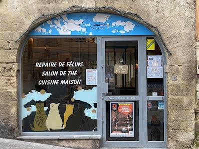 Le Chat Gourmand, Cats & Cookies | Bar à Chats Montpellier