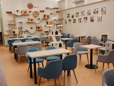 Meow day café