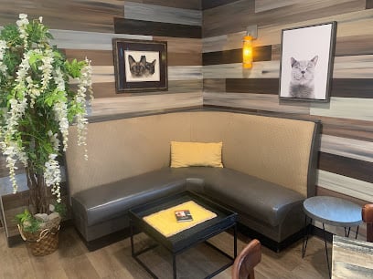 The Region Cat Cafe