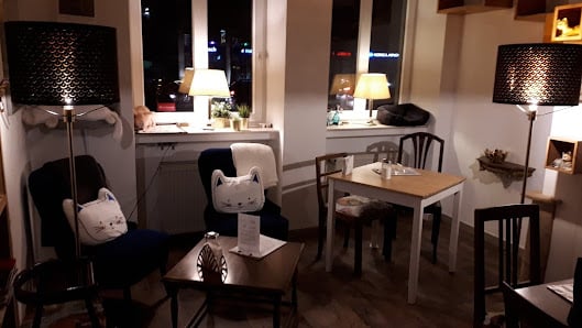 How Successful Cat Cafés Manage Hygiene and Safety