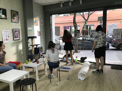 Oh My Cat - Premium cat cafe with private lounge