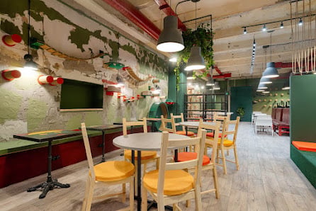 Discover Moscow's Best Cat Cafes for Feline Fun