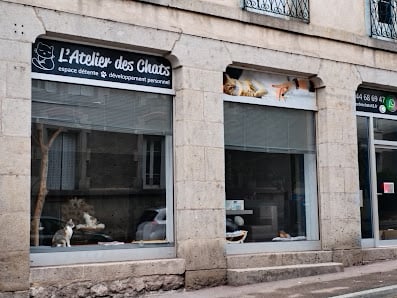 L'Atelier des Chats