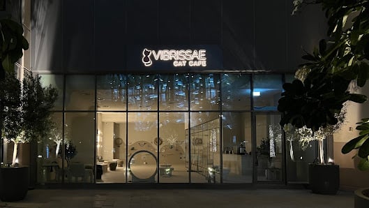 Cat Cafe Vibrissae - Dubai Creek Harbour