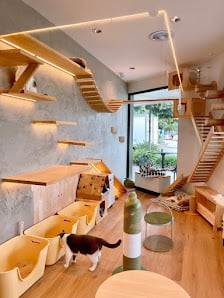 SupermarCat Cat Café