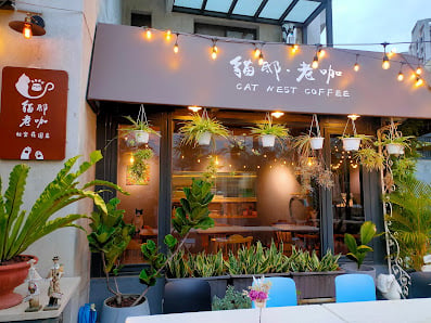 cat nest coffee