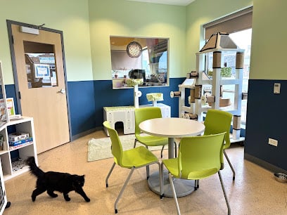 Tree House Cat Cafe (Reserve your spot today!)