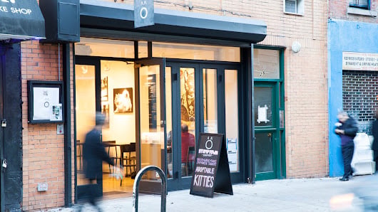 15 Cat Cafe Name Ideas for Your Business