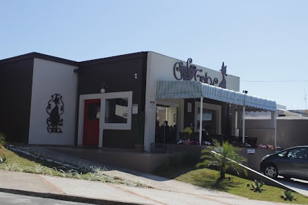 Café com Gato Campinas