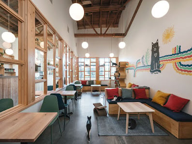 Purrington's Cat Lounge