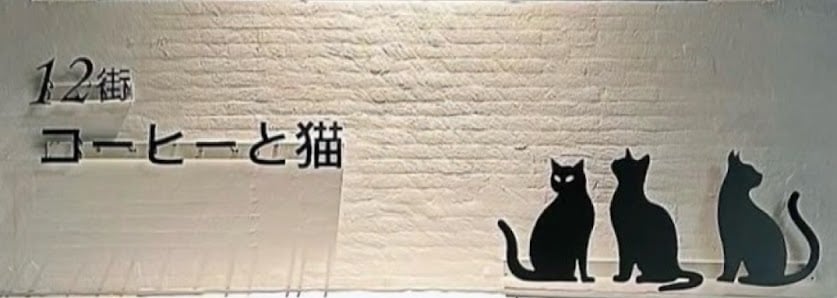12街貓貓咪咖啡屋Nekoya