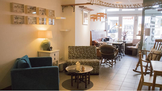 Jippies Cat Café