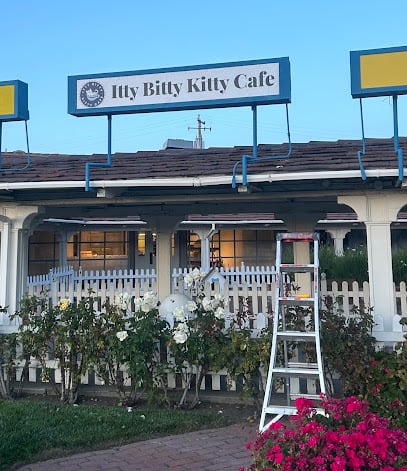 Itty Bitty Kitty Cafe