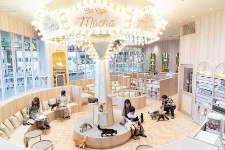 CAT CAFE MOCHA AEONMALL Hanyu store