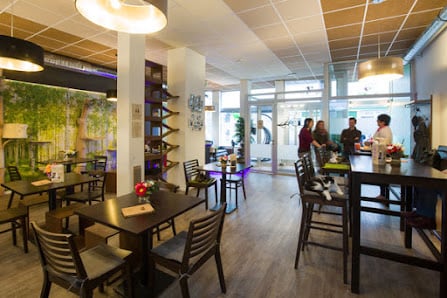 Das Katzencafé - Cat’n’Coffee - Premium cat cafe with private lounge
